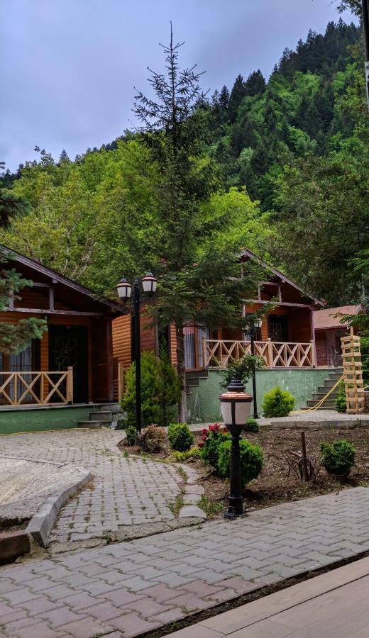 Centro Park Hotel Hồ Uzungöl Phòng bức ảnh